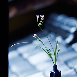 23_ikebana_kifu